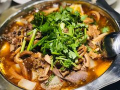 -古乐牛香·鲜牛肉牛杂火锅(新区店)