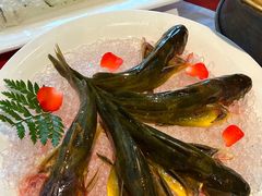 -皇城老妈火锅·川味传承(港湾店)