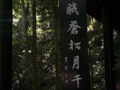 -峨眉山报国寺