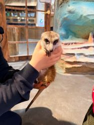 -Zoolung Zoolung动物主题公园(海信广场店)