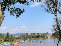 -枫香湖儿童公园