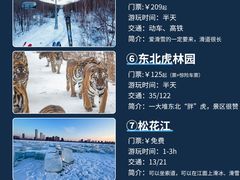 -龙塔