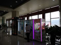 -丽江三义国际机场