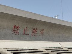 -南汇新城海滩