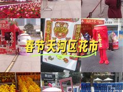 -天河体育中心