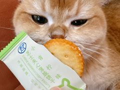 -盒马鲜生(红莲店)