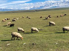 -新疆那拉提国家旅游度假区