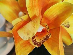 -希尔顿欢朋酒店·欢朋餐厅