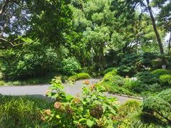 -浙江西子宾馆·瑶园咖啡厅