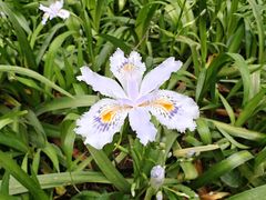 -唐城墙遗址公园