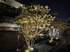 -明谷行馆·温泉