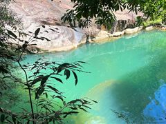 -广州白江湖森林公园