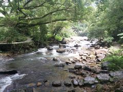 -广州市石门国家森林公园