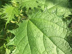 -碓臼峪自然风景区