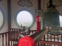 -三水森林公园