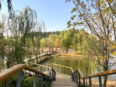 -东郊湿地公园