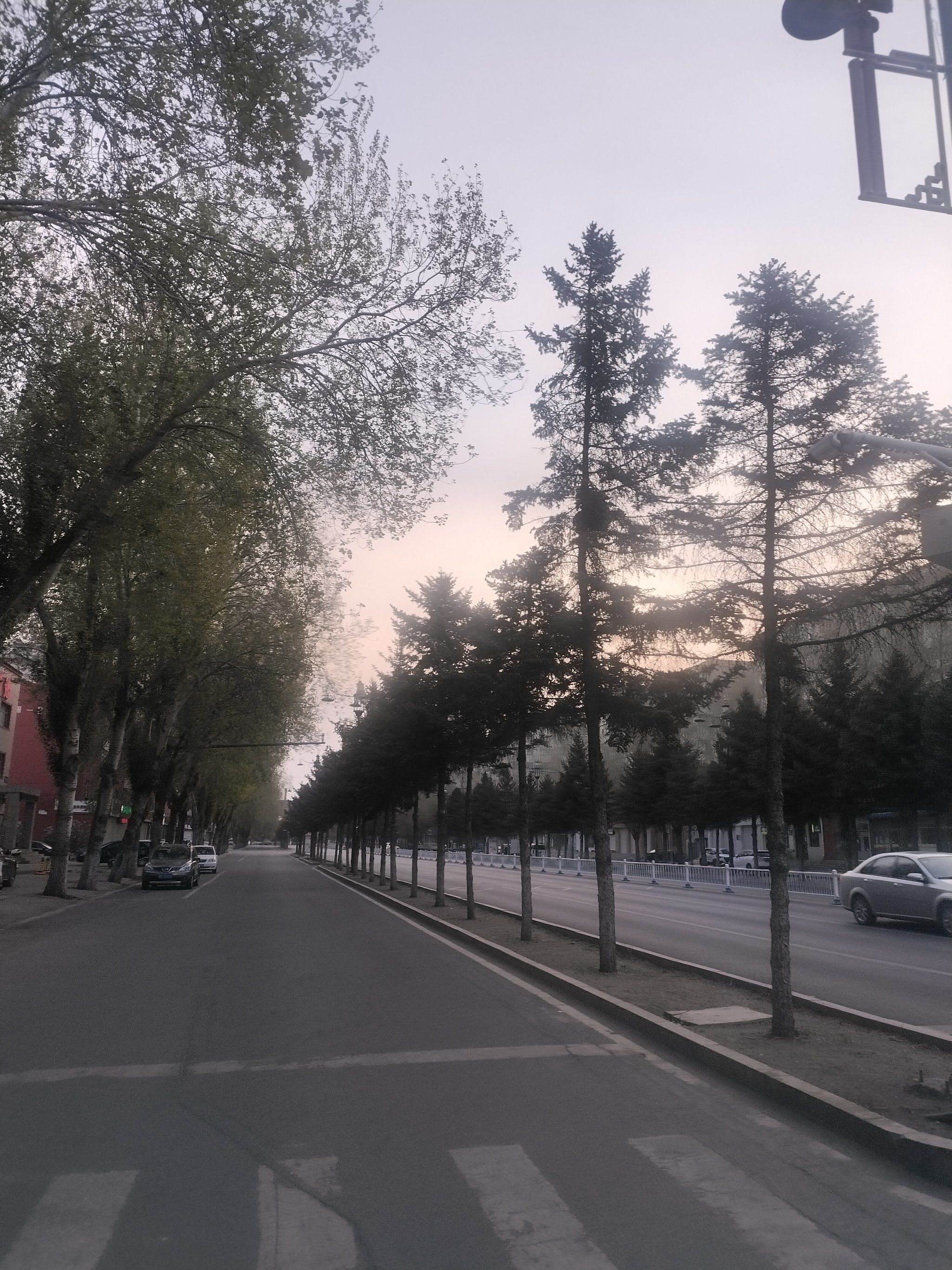 东北鹤城-齐齐哈尔得美丽街道