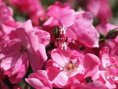 -杭州平安悦坊 PAFC LIVING