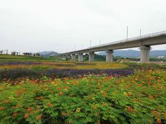 -光明小镇欢乐田园