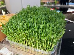 -好彩猪肚鸡(正弘城店)
