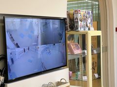 -红舞鞋舞蹈教育(近江校区)