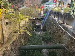 -阿巧茶庄