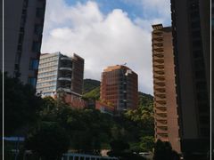 -香港大学