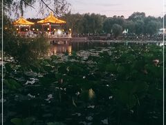 -长春市南湖公园