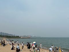 -小麦岛公园
