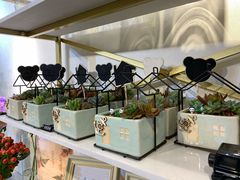 -花未央花店·WEYOUNG