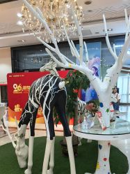 -同远QQBABY亲子摄影(北京路店)