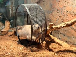 -Zoolung Zoolung动物主题公园(海信广场店)