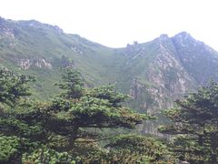 -牛背梁国家森林公园