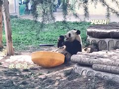 -西安秦岭野生动物园