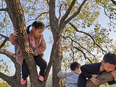 -罍+村(半边街店)