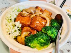 日式花菇豆腐煲-T館·花园艺术餐厅