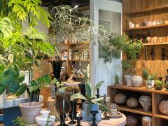 -自由生长植物工作室(深港花卉中心店)