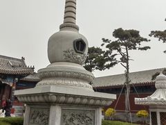 -天津大悲禅院