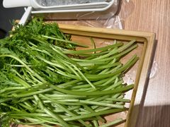 -蝎王府羊蝎子(西直门店)