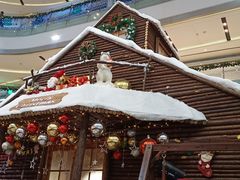 -罗森尼娜(德思勤店)