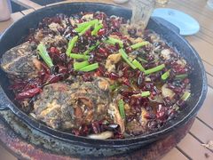 -老板恋上鱼(恒隆广场店)