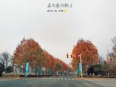 -碧桂园凤凰城酒店(南京店)