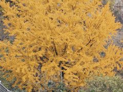 -狼山风景名胜区