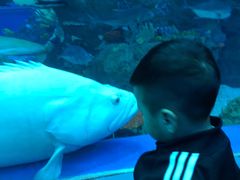 -成都浩海立方海洋公园