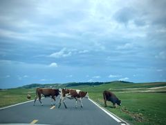 -塞罕坝国家级自然保护区