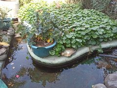 -园林美食城·本土农家菜(杨和镇店)