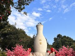 -东莞观音山旅游风景区