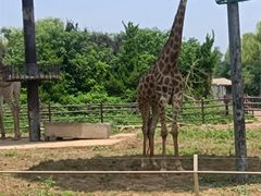 -济南野生动物世界