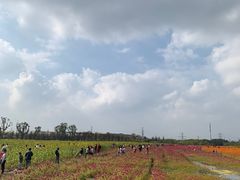 -映月湖中央公园
