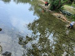 -杨梅坑